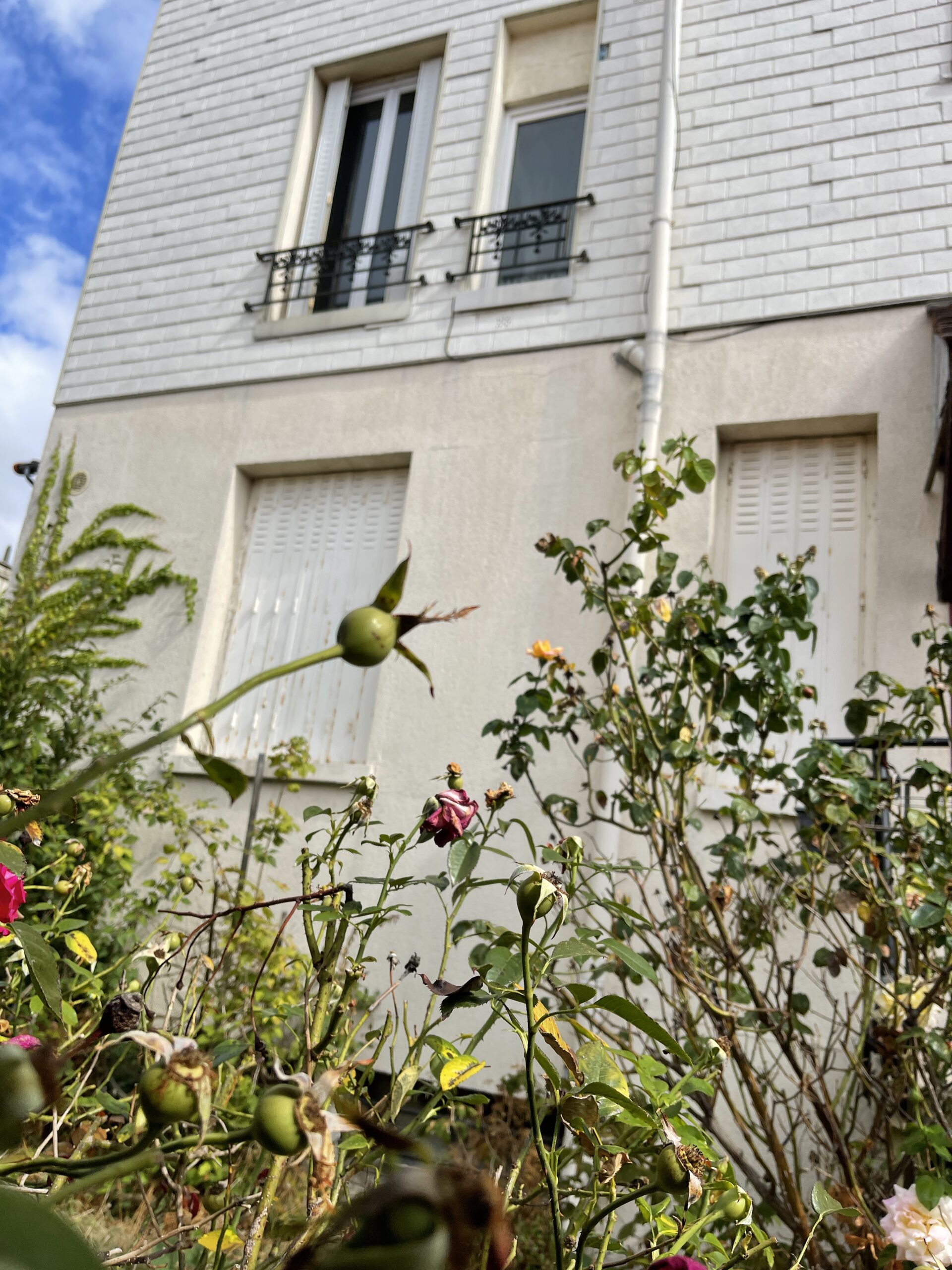 Chatou 78400  2 pièces investissement