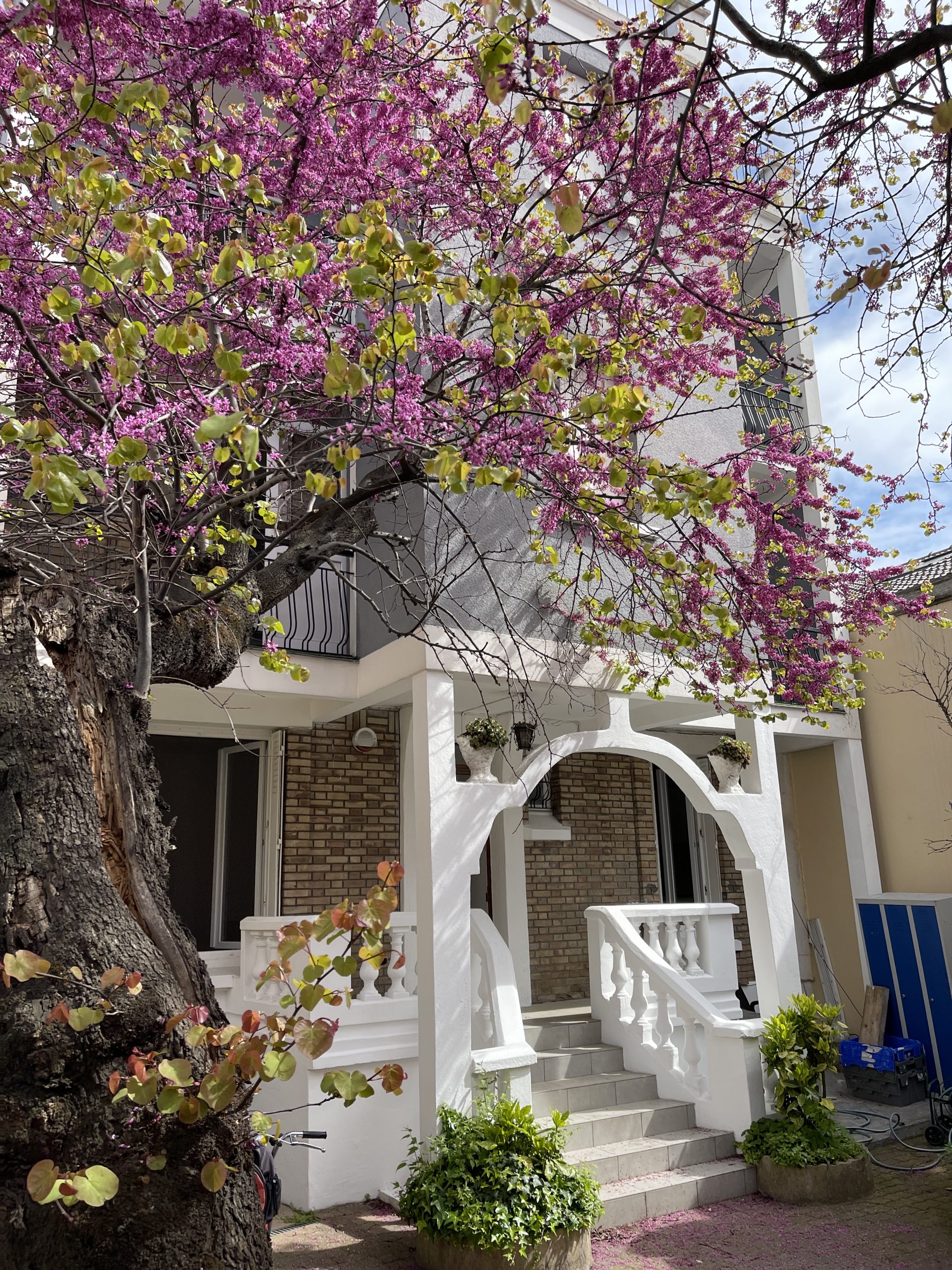 IMMEUBLE NANTERRE RUE DE SURESNES