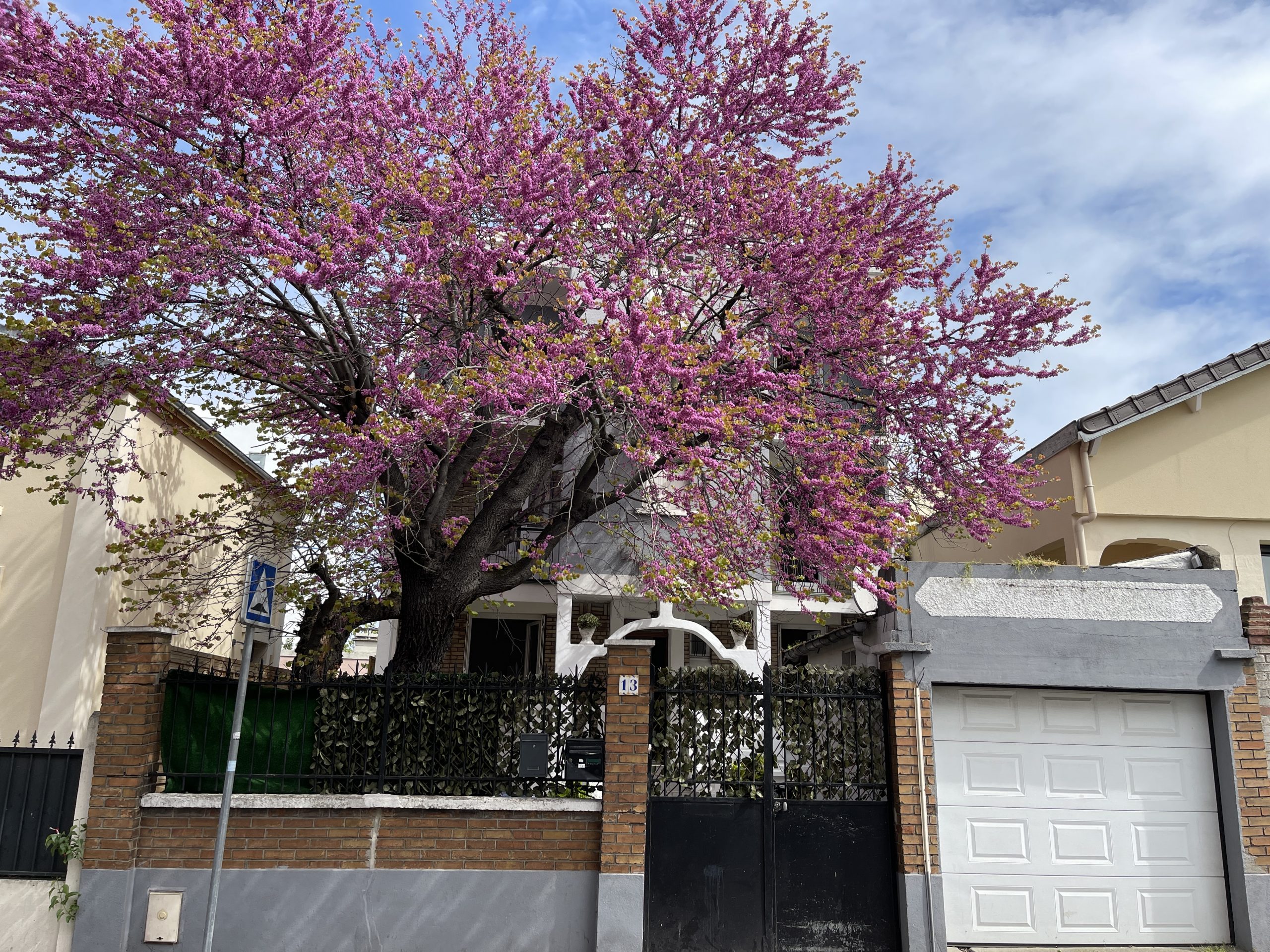 IMMEUBLE NANTERRE RUE DE SURESNES