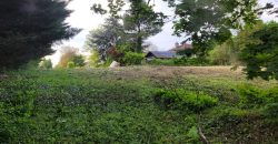TERRAIN A LA FRETTE-SUR-SEINE
